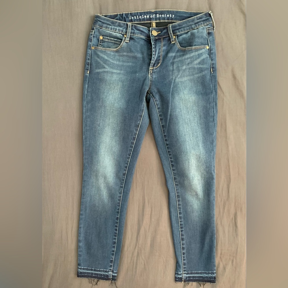 Articles of Society Cropped Skinny Jeans